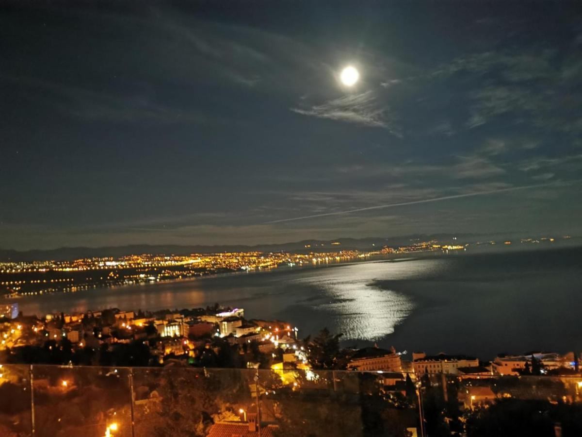 Birds View Opatija